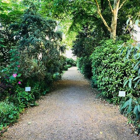 Southern Belgravia Apartments 伦敦 外观 照片