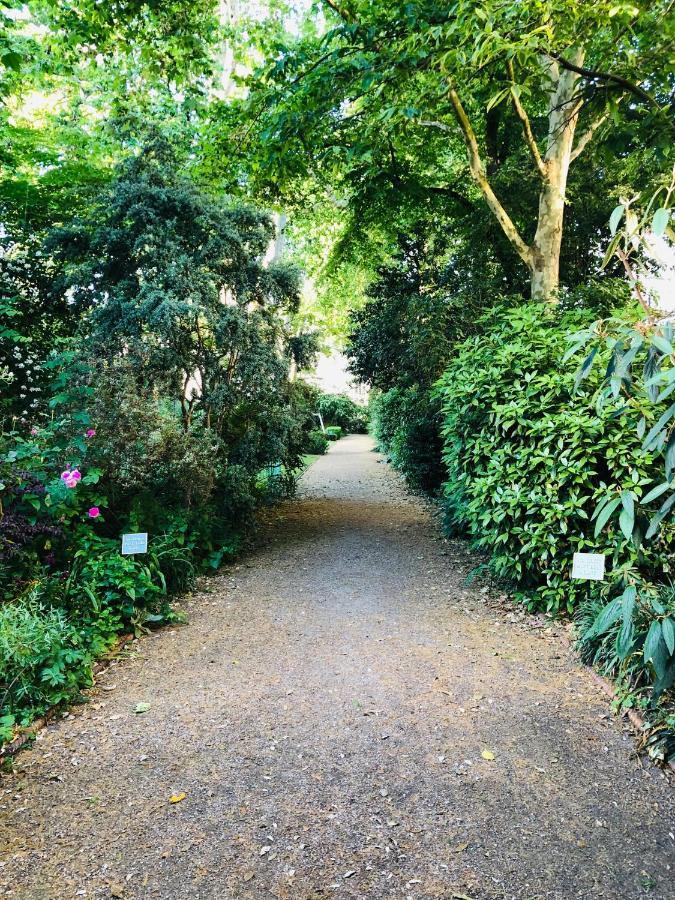 Southern Belgravia Apartments 伦敦 外观 照片