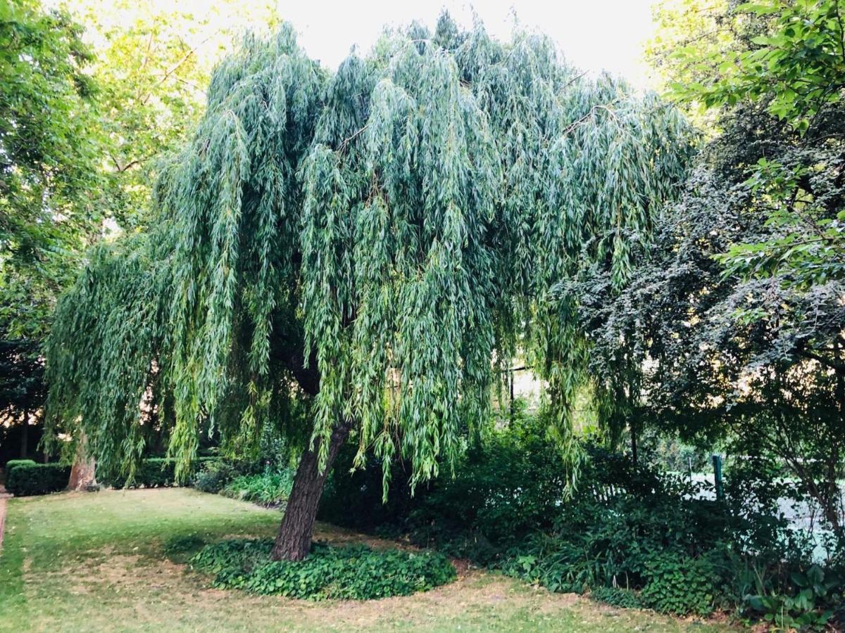 Southern Belgravia Apartments 伦敦 外观 照片